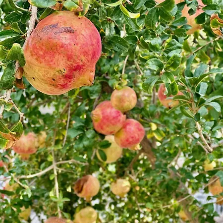 Amalía - Central, Stylish, Quiet Apartamento