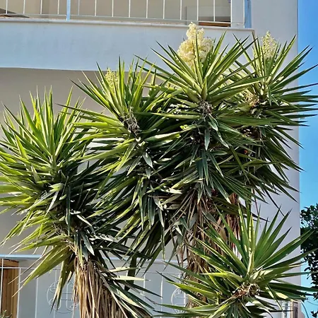 Amalía - Central, Stylish, Quiet Caristo